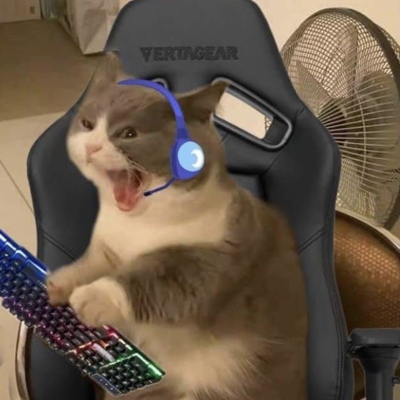 karissawilli132